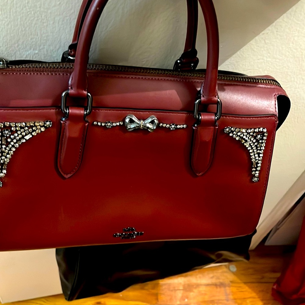 Selena Gomez coach bag edition
